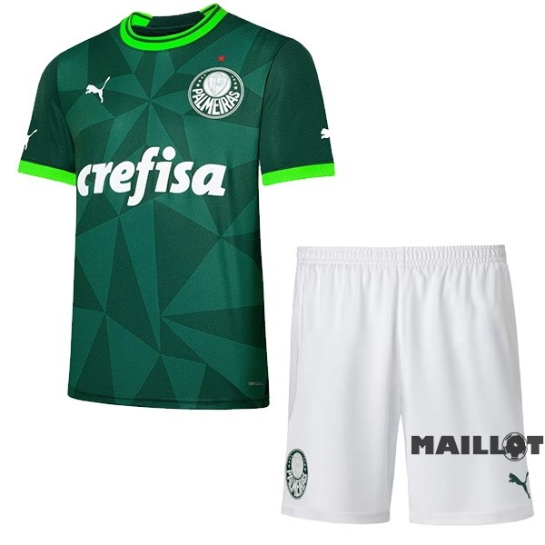 Foot Maillot Pas Cher Domicile Conjunto De Enfant Palmeiras 2023 2024 Vert
