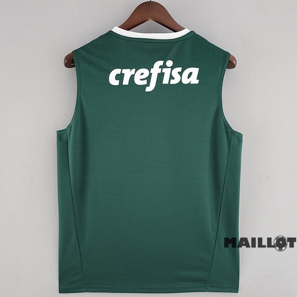 Foot Maillot Pas Cher Domicile Maillot Sans Manches Palmeiras 2022 2023 Vert