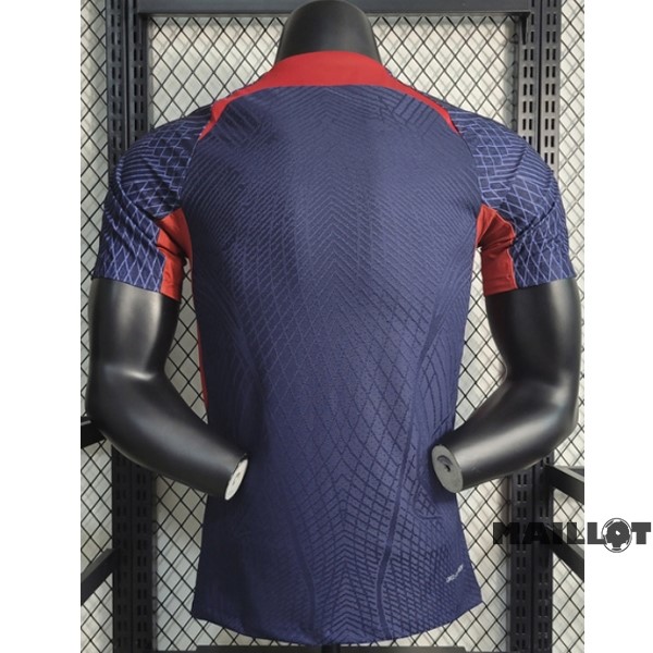 Foot Maillot Pas Cher Entrainement Joueurs Paris Saint Germain 2023 2024 Purpura Rouge