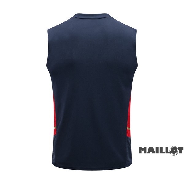 Foot Maillot Pas Cher Entrainement Sans Manches Ajax 2022 2023 Bleu Rouge