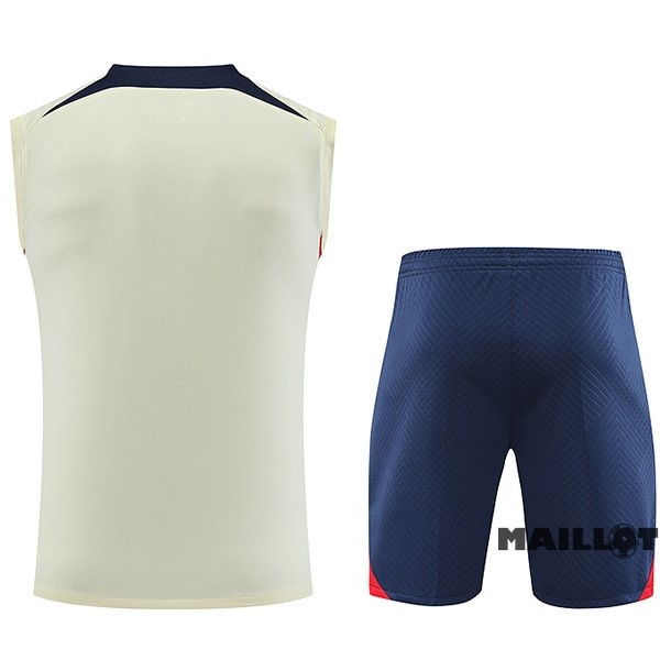 Foot Maillot Pas Cher Entrainement Sans Manches Ensemble Complet Paris Saint Germain 2023 2024 Jaune Bleu
