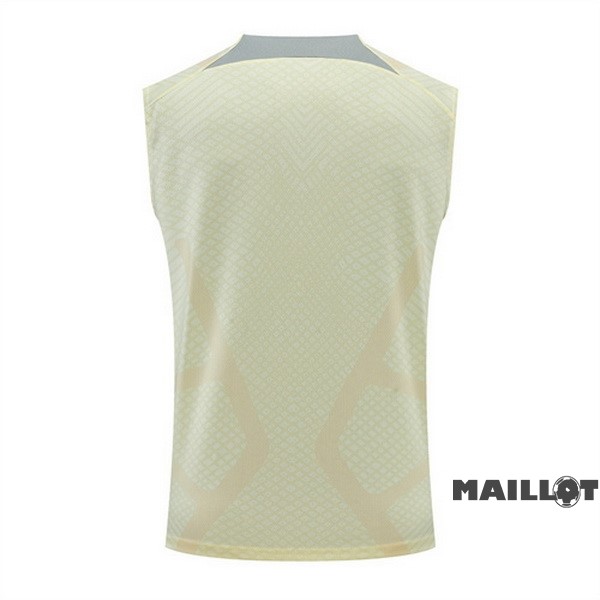 Foot Maillot Pas Cher Entrainement Sans Manches Tottenham Hotspur 2022 2023 Jaune