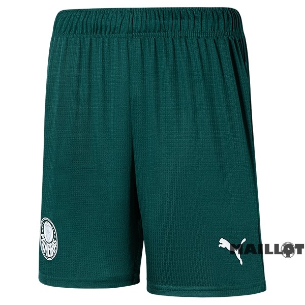 Foot Maillot Pas Cher Exterieur Pantalon Palmeiras 2023 2024 Vert