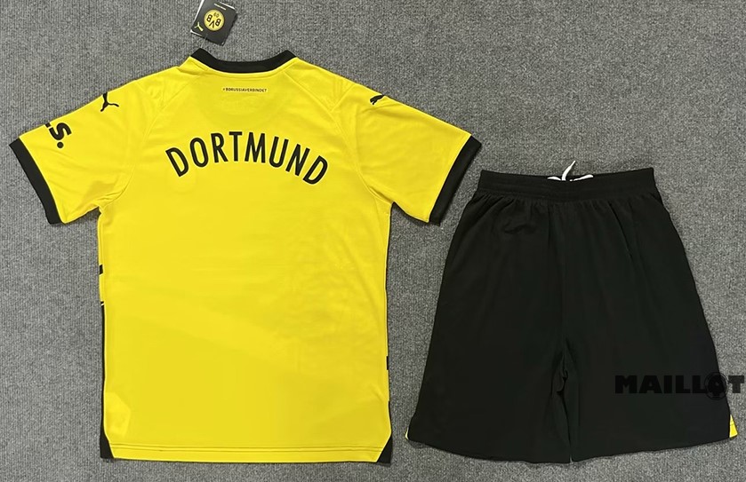 Foot Maillot Pas Cher Gardien Conjunto De Homme Borussia Dortmund 2023 2024 Jaune