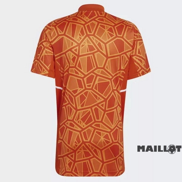 Foot Maillot Pas Cher Thailande Gardien Maillot Cruzeiro EC 2022 2023 Orange