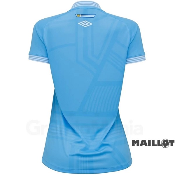 Foot Maillot Pas Cher Third Maillot Femme Grêmio FBPA 2022 2023 Bleu