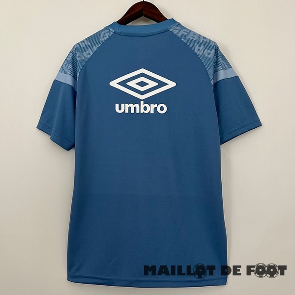Foot Maillot Pas Cher Entrainement Grêmio 2023 2024 Bleu