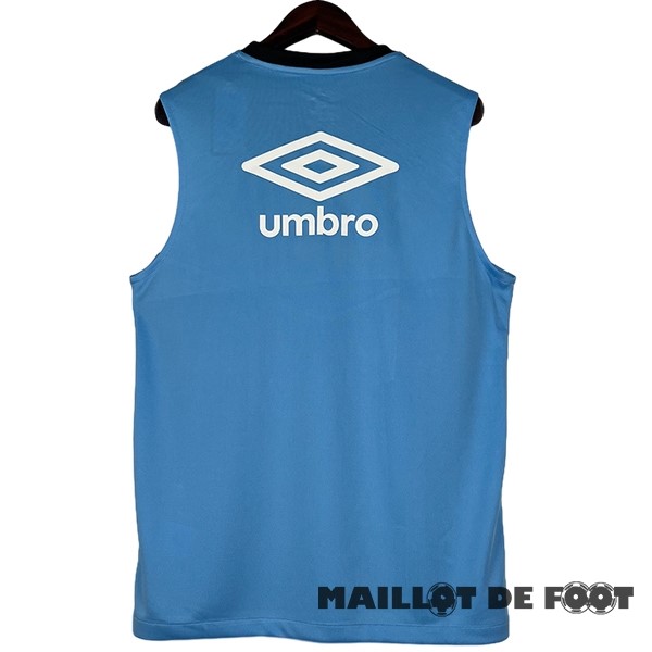 Foot Maillot Pas Cher Entrainement Sans Manches Grêmio 2023 2024 Bleu Gris