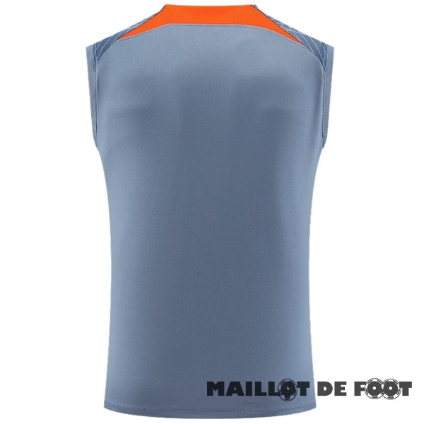 Foot Maillot Pas Cher Entrainement Sans Manches Inter Milán 2023 2024 Gris