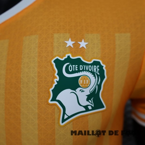 Foot Maillot Pas Cher Thailande Domicile Joueurs Maillot Côte d'Ivoire 2022 Orange