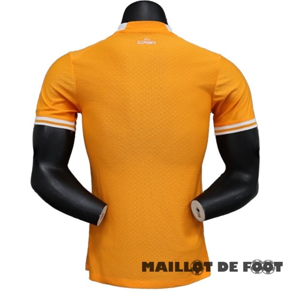Foot Maillot Pas Cher Thailande Domicile Joueurs Maillot Côte d'Ivoire 2022 Orange