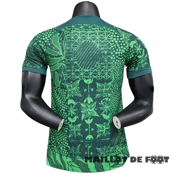 Foot Maillot Pas Cher Thailande Domicile Joueurs Maillot Nigeria 2022 Vert