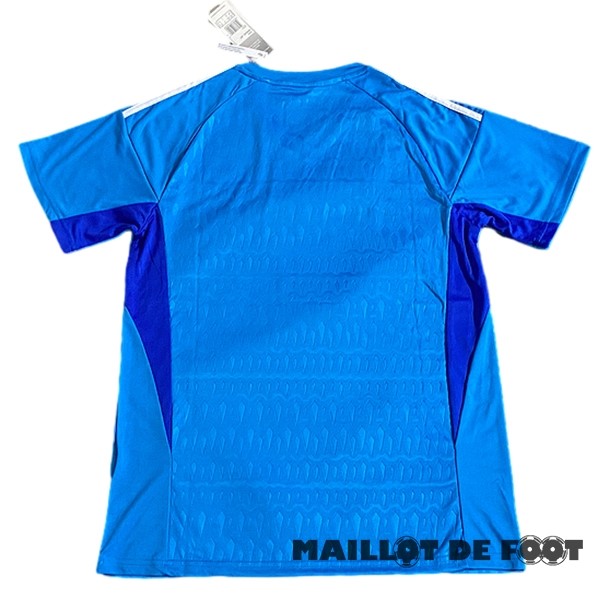 Foot Maillot Pas Cher Thailande Gardien Maillot Cruzeiro EC 2023 2024 Bleu