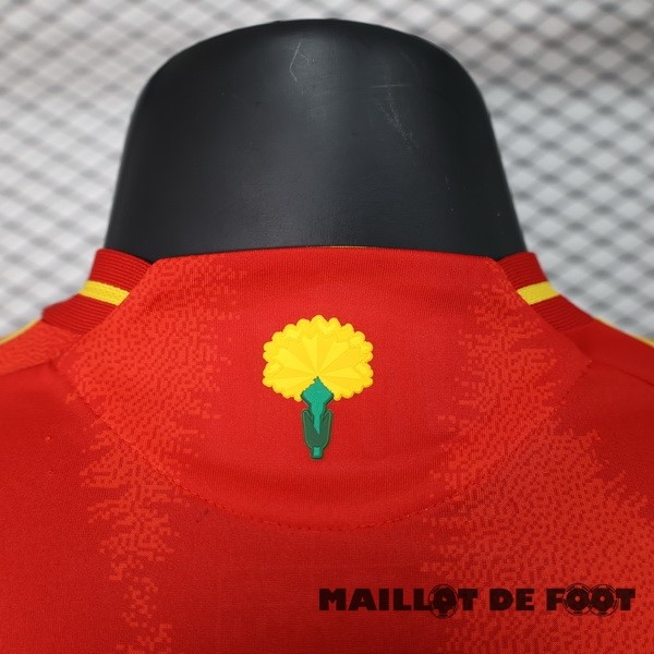 Foot Maillot Pas Cher Domicile Joueurs Maillot Espagne 2024 Rouge
