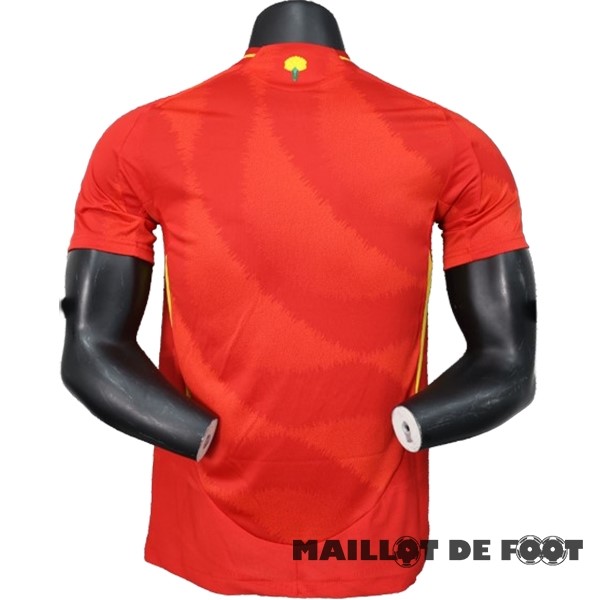Foot Maillot Pas Cher Domicile Joueurs Maillot Espagne 2024 Rouge