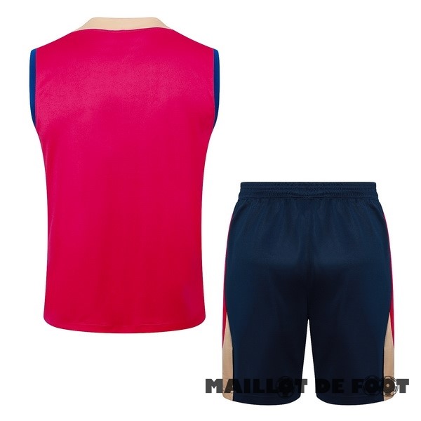 Foot Maillot Pas Cher Entrainement Sans Manches Conjunto Completo Barcelona 2024 2025 Rose Bleu