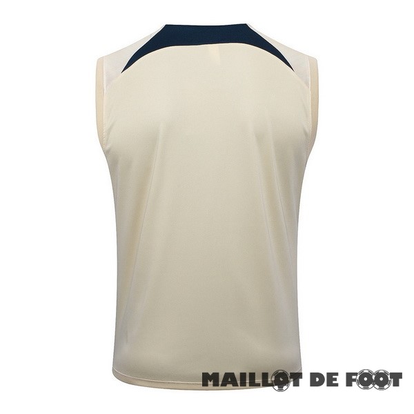 Foot Maillot Pas Cher Entrainement Sans Manches Paris Saint Germain 2023 2024 Jaune Bleu