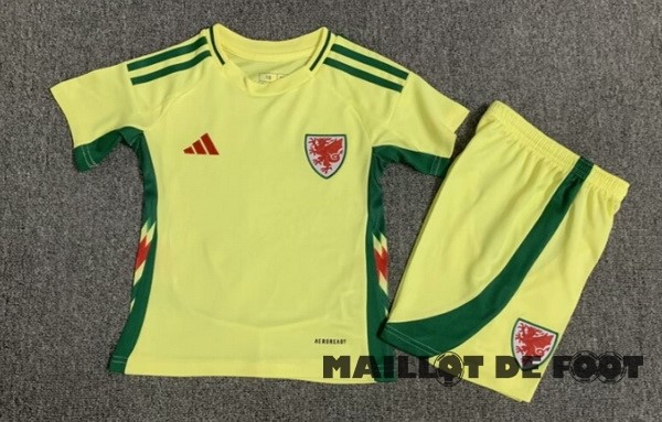 Foot Maillot Pas Cher Exterieur Conjunto De Enfant Pays de Galles 2024 Jaune