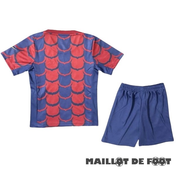 Foot Maillot Pas Cher Spécial Conjunto De Enfant Barcelona 2024 2025 Rouge Bleu