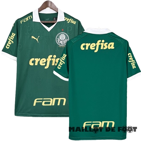 Foot Maillot Pas Cher Thailande Domicile Maillot Palmeiras 2024 2025 I Vert