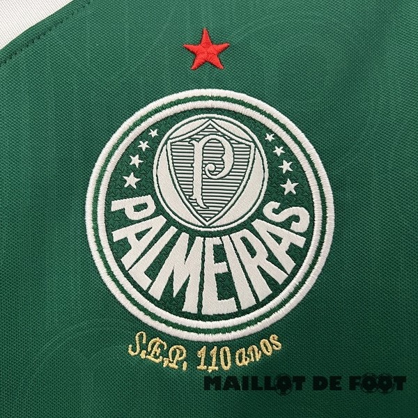 Foot Maillot Pas Cher Thailande Domicile Maillot Palmeiras 2024 2025 Vert