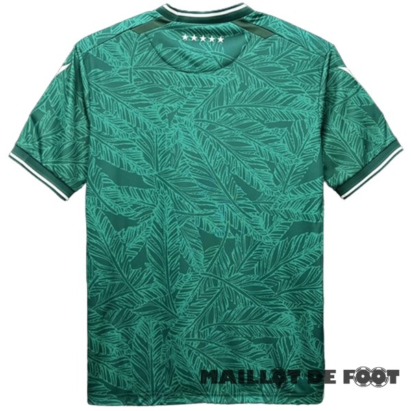 Foot Maillot Pas Cher Thailande Domicile Maillot Santiago Wanderers 2024 2025 Vert