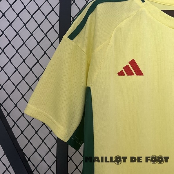 Foot Maillot Pas Cher Thailande Exterieur Maillot Pays de Galles 2024 Jaune