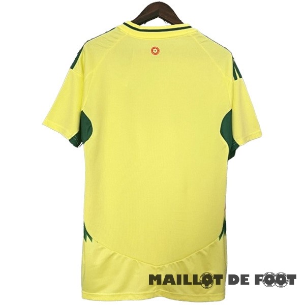 Foot Maillot Pas Cher Thailande Exterieur Maillot Pays de Galles 2024 Jaune