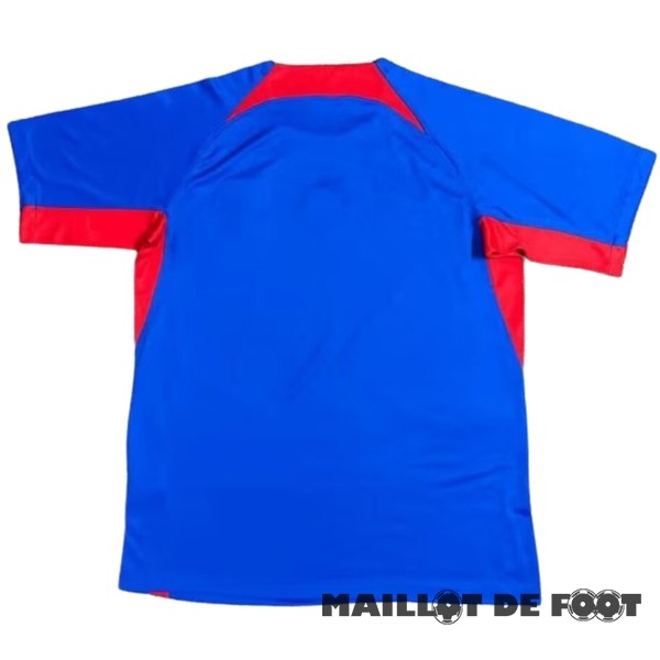 Foot Maillot Pas Cher Thailande Domicile Maillot Slovaquie 2024