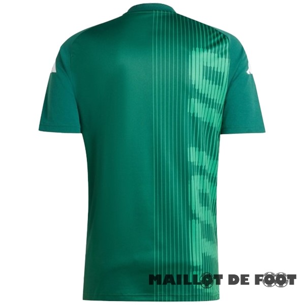 Foot Maillot Pas Cher Thailande Pré match Maillot Italie 2024 Vert